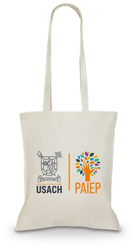 Bolsa de algodón de 38 × 40 cm estampada para la USACH (PAIEP), Santiago