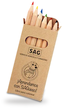 Caja de lápices de colores con el logo del SAG