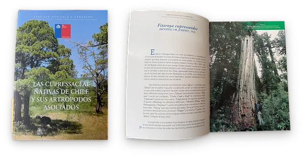 Libro «Las Cupressaceae nativas de Chile y sus artrópodos asociados» para el SAG: tapa e interior, Santiago