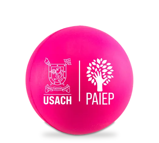 Pelota antiestrés con logo para la USACH (PAIEP), Santiago